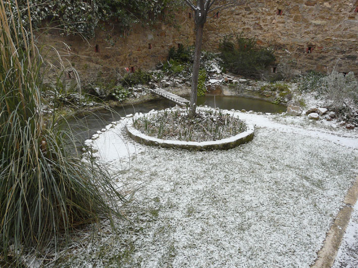Il Laghetto del Centro di Entomologia - Piombino (LI)
